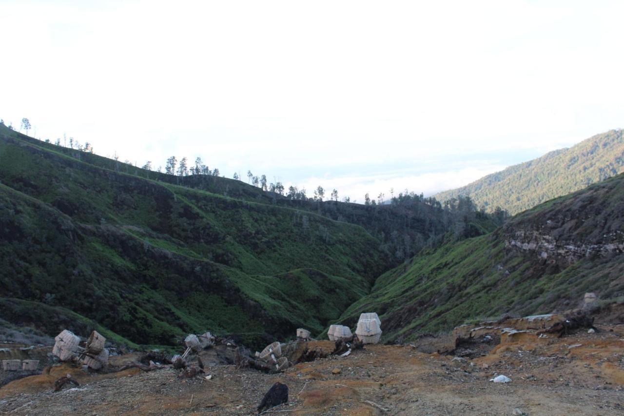 Backpacker Kawah Ijen Hostel Banyuwangi  Exterior photo