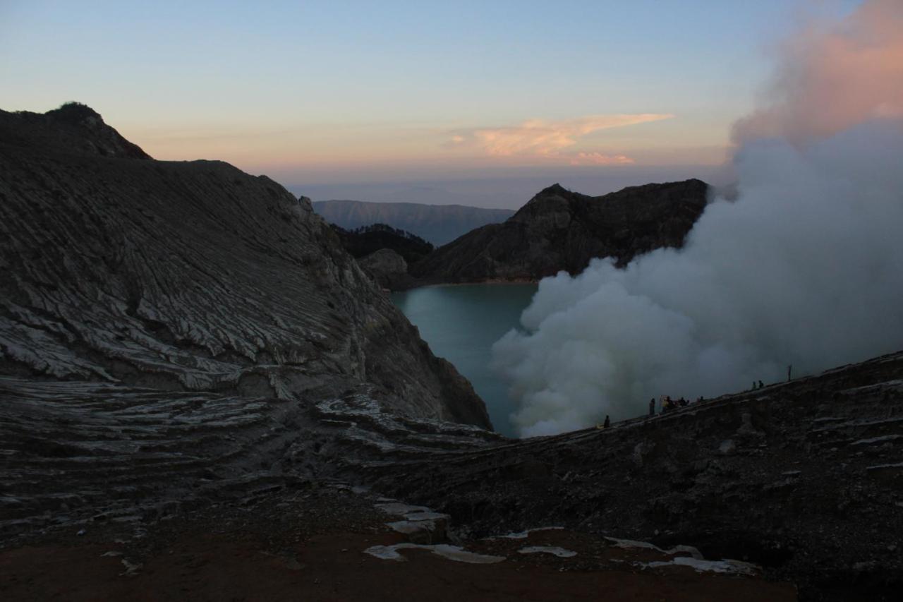 Backpacker Kawah Ijen Hostel Banyuwangi  Exterior photo