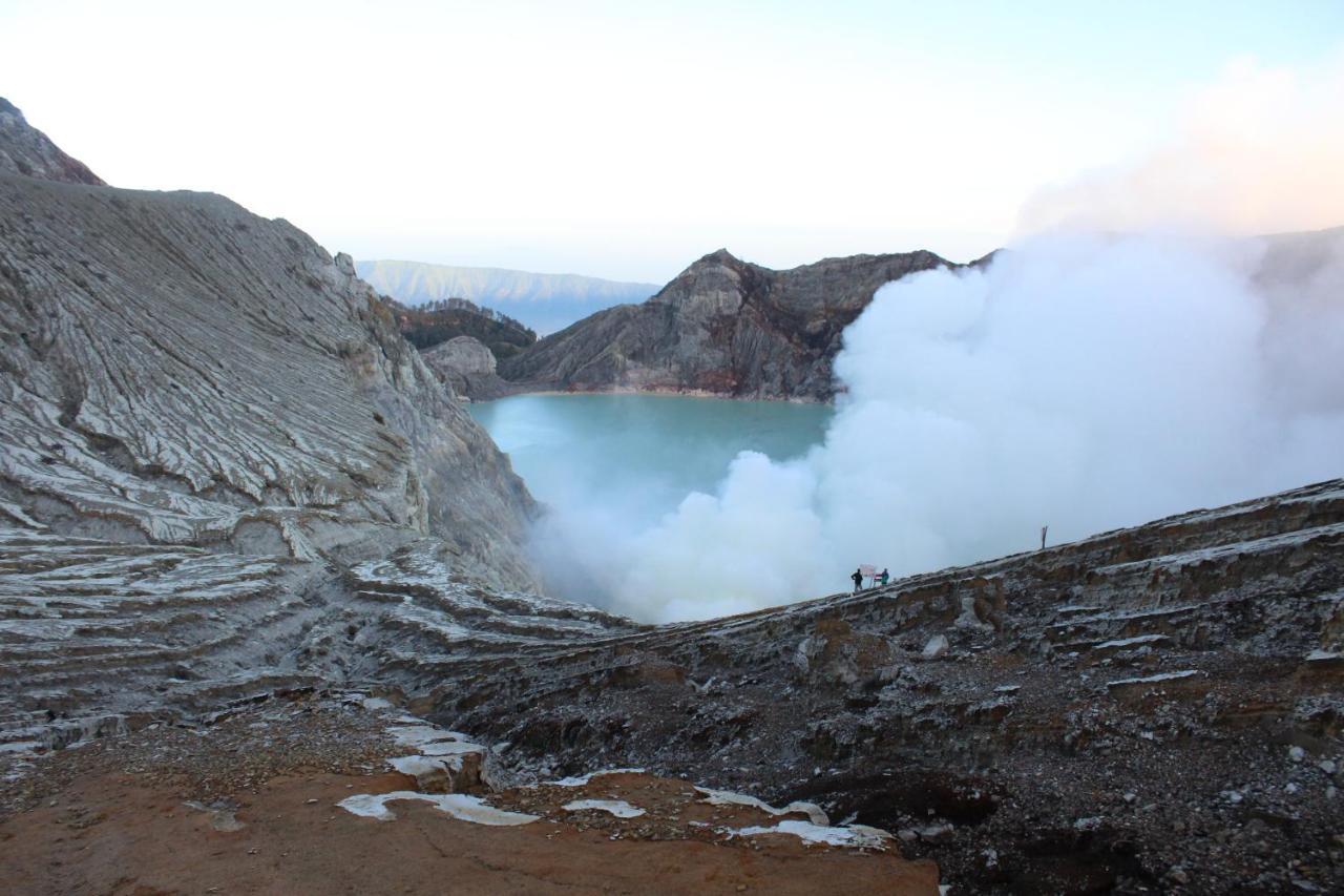 Backpacker Kawah Ijen Hostel Banyuwangi  Exterior photo